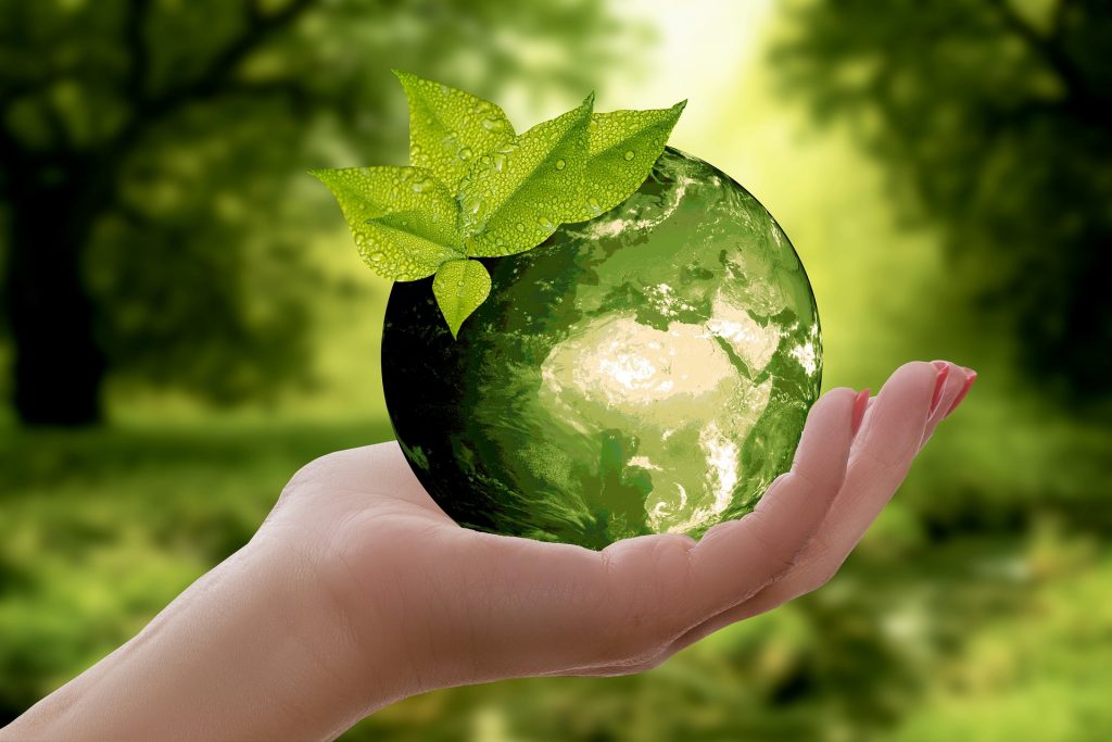 Ekologiczny styl życia – fakty, informacje, opinie